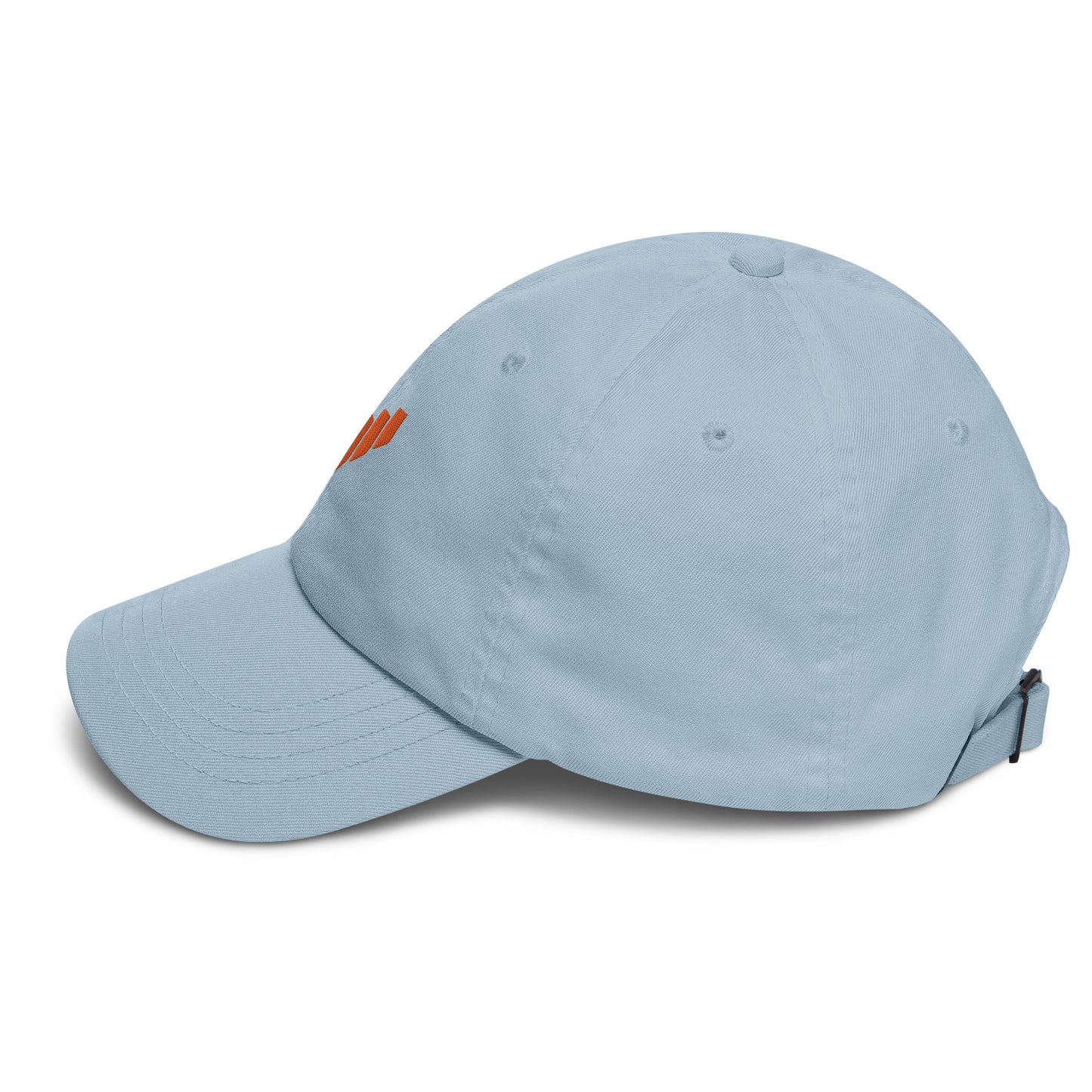 RPS Dad hat