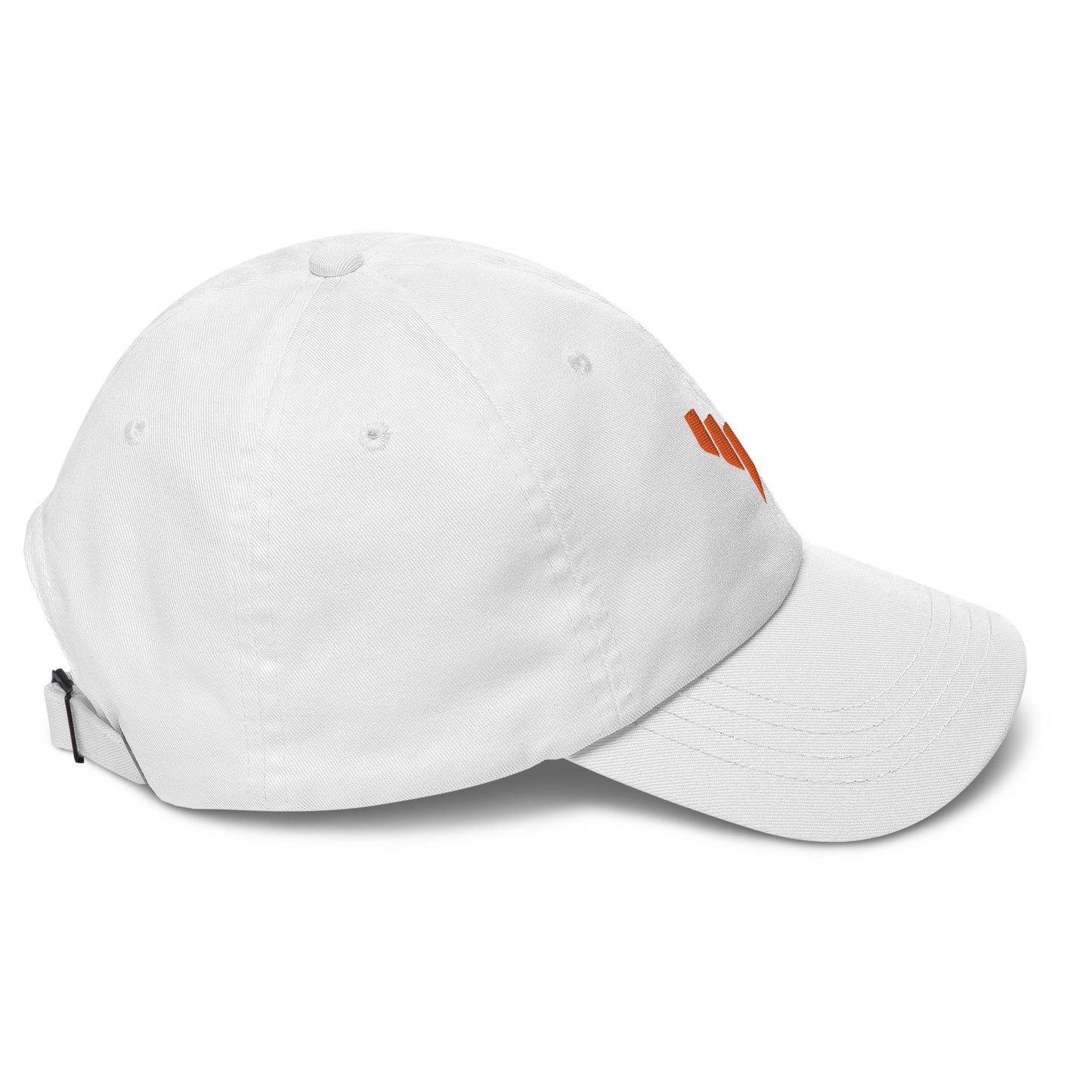 RPS Dad hat